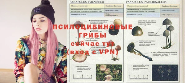 героин Абинск